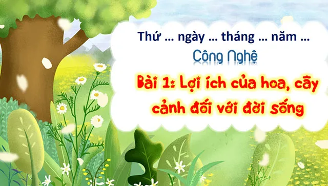 Bài giảng điện tử môn Công nghệ 4 sách Kết nối tri thức với cuộc sống