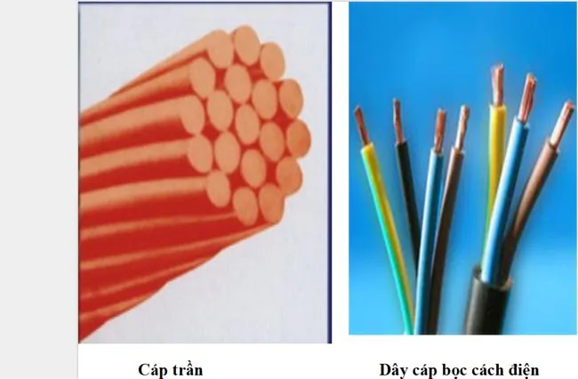 Bài giảng điện tử môn Công nghệ 9 năm 2023 – 2024