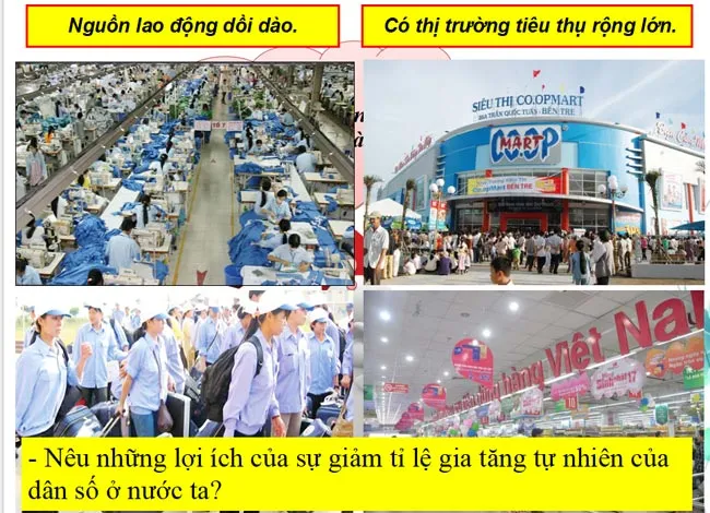 Bài giảng điện tử môn Địa lí 9 (Cả năm)