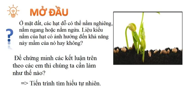 Bài giảng điện tử môn Khoa học tự nhiên 7 sách Cánh diều (Cả năm)