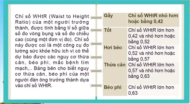 Bài giảng điện tử môn Toán 7 sách Kết nối tri thức với cuộc sống (Cả năm)