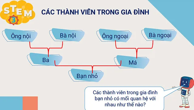 Bài giảng điện tử STEM lớp 3