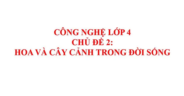 Bài tập cuối khóa Mô đun 9 môn Công nghệ