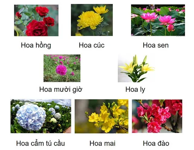 Bài tập cuối khóa Mô đun 9 môn Công nghệ