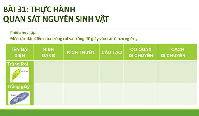 Bài tập cuối khóa Mô đun 9 môn Khoa học tự nhiên THCS