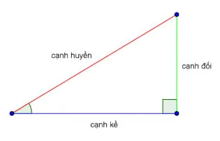 Bài tập cuối khóa Mô đun 9 môn Toán THCS