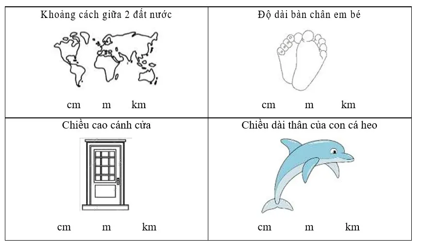 Bài tập cuối tuần lớp 2 môn Toán Chân trời sáng tạo – Tuần 28