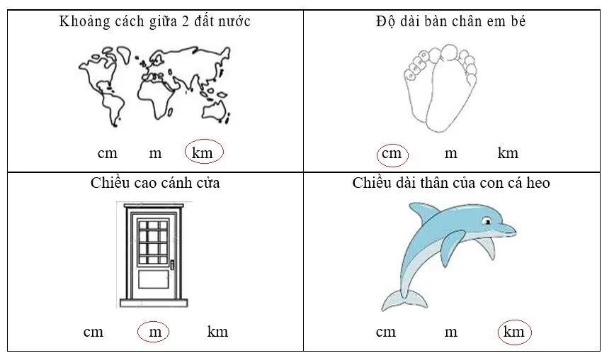 Bài tập cuối tuần lớp 2 môn Toán Chân trời sáng tạo – Tuần 28