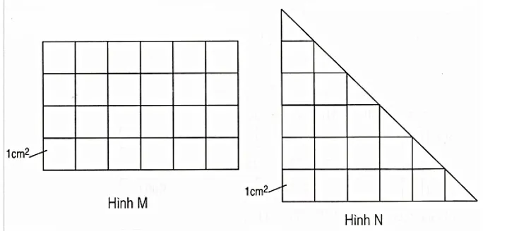 Bài tập cuối tuần lớp 3 môn Toán Cánh Diều – Tuần 28