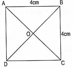 Bài tập cuối tuần lớp 3 môn Toán Cánh Diều – Tuần 34