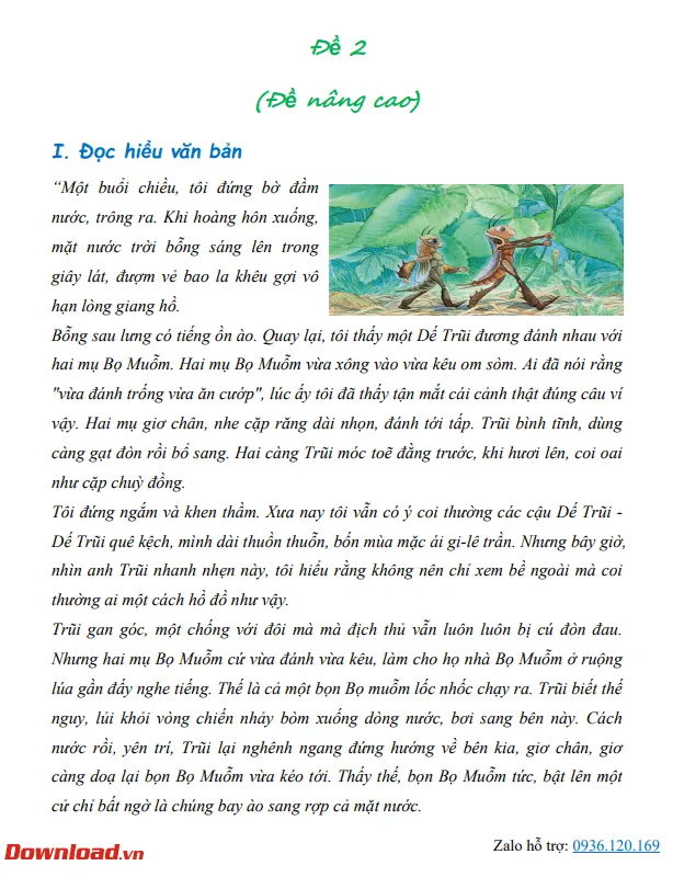 Bài tập cuối tuần lớp 4 môn Tiếng Việt Cánh diều – Tuần 34 (Nâng cao)