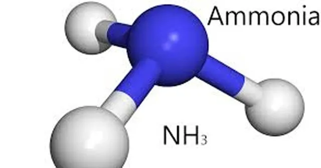 Bài tập phản ứng tạo phức của NH3