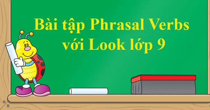 Bài tập Phrasal Verbs với Look lớp 9