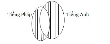 Bài tập toán nâng cao lớp 5: Suy luận logic giải bằng biểu đồ Ven