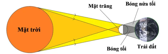 Bài tập trắc nghiệm môn Vật lý lớp 7 chương 1