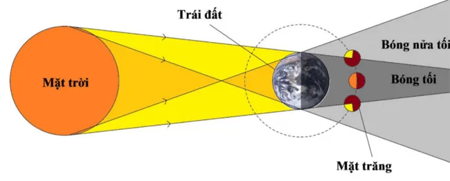 Bài tập trắc nghiệm môn Vật lý lớp 7 chương 1