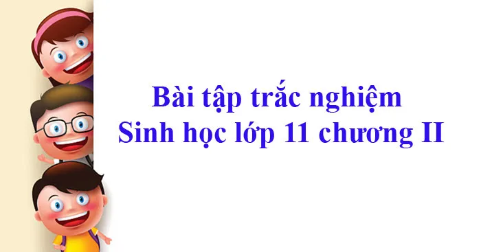 Bài tập trắc nghiệm Sinh học lớp 11 Chương II