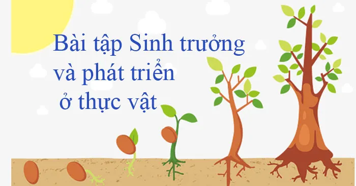 Bài tập trắc nghiệm Sinh trưởng và phát triển ở thực vật