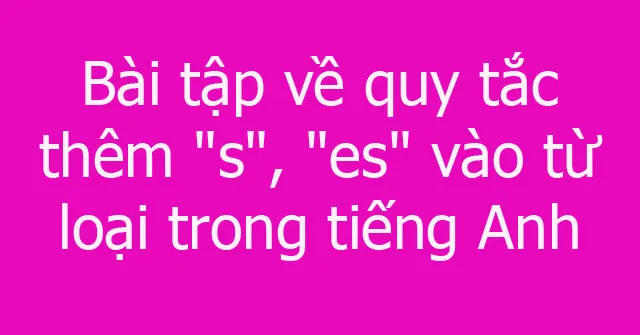 Bài tập về quy tắc thêm s, es vào từ loại trong tiếng Anh lớp 6