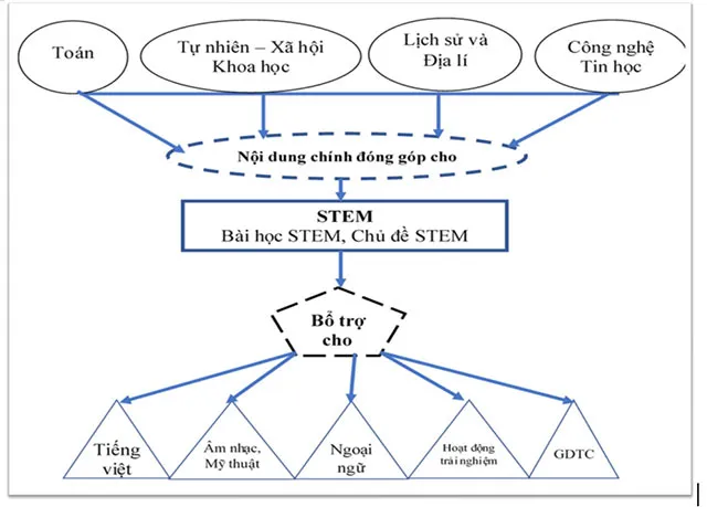 Bài thu hoạch giáo dục STEM Tiểu học