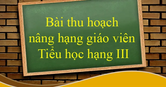 Bài thu hoạch nâng hạng giáo viên Tiểu học hạng III (6 mẫu)