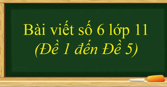 Bài văn mẫu Lớp 11: Bài viết số 6 (Đề 1 đến Đề 5)