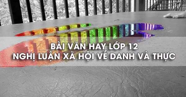 Bài văn mẫu lớp 12: Nghị luận xã hội về danh và thực