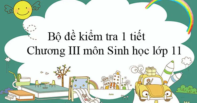 Bộ đề kiểm tra 1 tiết Chương III môn Sinh học lớp 11