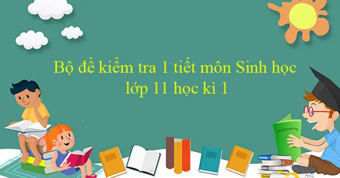 Bộ đề kiểm tra 1 tiết môn Sinh học lớp 11 học kì 1