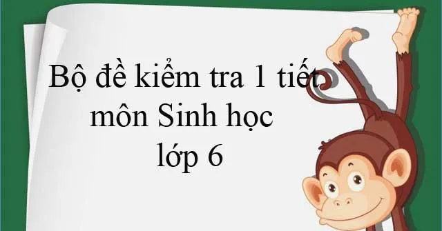 Bộ đề kiểm tra 1 tiết môn Sinh học lớp 6 học kì 1