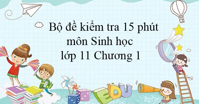 Bộ đề kiểm tra 15 phút môn Sinh học lớp 11 Chương 1