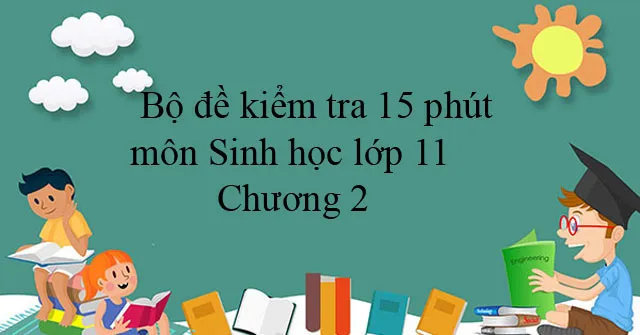 Bộ đề kiểm tra 15 phút môn Sinh học lớp 11 Chương 2