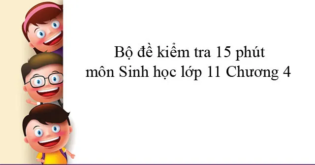 Bộ đề kiểm tra 15 phút môn Sinh học lớp 11 Chương 4