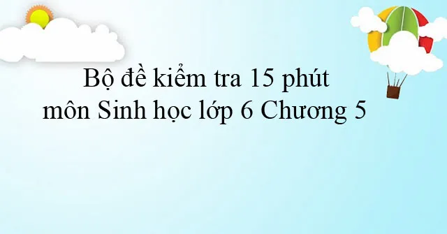 Bộ đề kiểm tra 15 phút môn Sinh học lớp 6 Chương 5