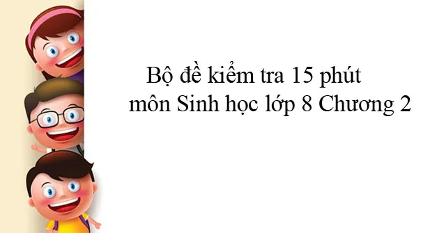 Bộ đề kiểm tra 15 phút môn Sinh học lớp 8 Chương 2