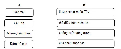 Bộ đề ôn thi giữa học kì 2 môn Tiếng Việt 4 sách Chân trời sáng tạo