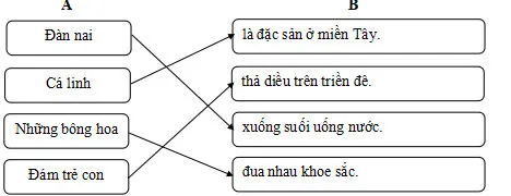 Bộ đề ôn thi giữa học kì 2 môn Tiếng Việt 4 sách Chân trời sáng tạo