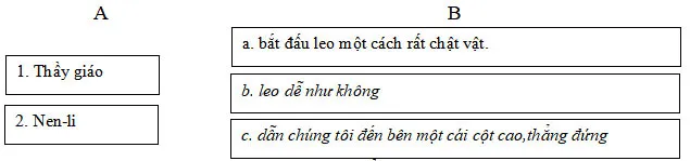 Bộ đề ôn thi học kì 2 môn Tiếng Việt 3 sách Cánh điều