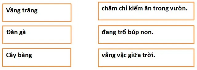 Bộ đề ôn thi học kì 2 môn Tiếng Việt lớp 1 sách Cánh diều