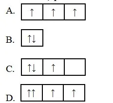 Bộ đề thi giữa học kì 1 lớp 10 năm 2023 – 2024 sách Chân trời sáng tạo (8 Môn)