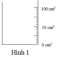 Bộ đề thi giữa học kì 1 môn Khoa học tự nhiên 6 năm 2023 – 2024 sách Cánh diều