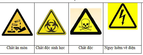 Bộ đề thi giữa học kì 1 môn Khoa học tự nhiên 6 năm 2023 – 2024 sách Kết nối tri thức với cuộc sống