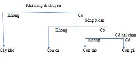 Bộ đề thi giữa học kì 1 môn Khoa học tự nhiên 6 năm 2023 – 2024 (Sách mới)