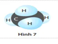 Bộ đề thi giữa học kì 1 môn Khoa học tự nhiên 7 năm 2023 – 2024 sách Cánh diều