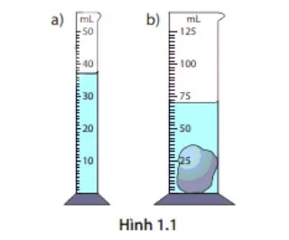 Bộ đề thi giữa học kì 1 môn Khoa học tự nhiên lớp 7 năm 2023 – 2024 (Sách mới)