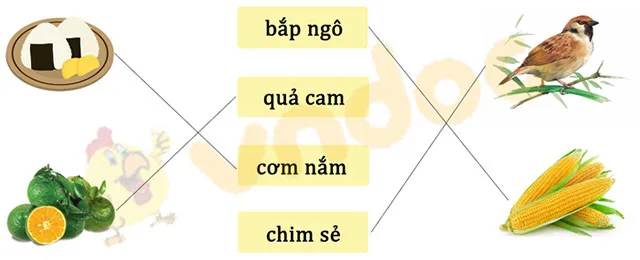 Bộ đề thi giữa học kì 1 môn Tiếng Việt lớp 1 năm 2023 – 2024 sách Cánh diều