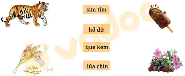 Bộ đề thi giữa học kì 1 môn Tiếng Việt lớp 1 năm 2023 – 2024 sách Kết nối tri thức với cuộc sống