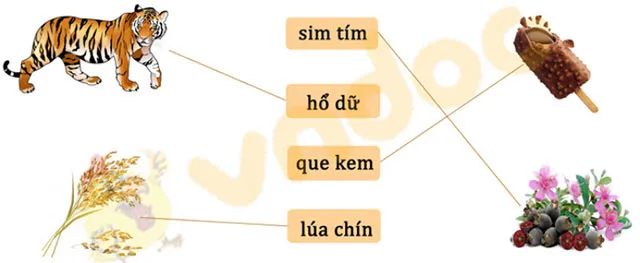 Bộ đề thi giữa học kì 1 môn Tiếng Việt lớp 1 năm 2023 – 2024 sách Kết nối tri thức với cuộc sống