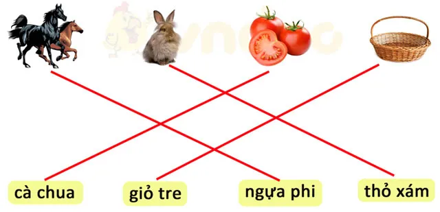 Bộ đề thi giữa học kì 1 môn Tiếng Việt lớp 1 năm 2023 – 2024 sách Kết nối tri thức với cuộc sống