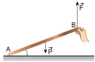 Bộ đề thi giữa học kì 2 lớp 10 năm 2023 – 2024 sách Kết nối tri thức với cuộc sống